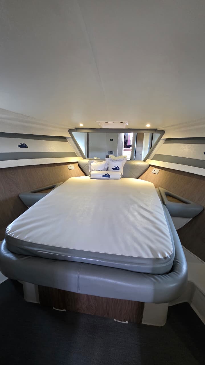 Vetor Vegas V - Suite